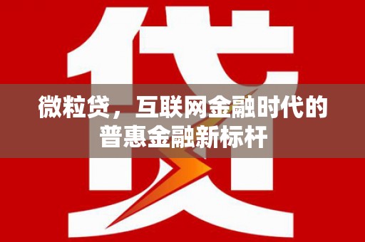 衡东微粒贷，互联网金融时代的普惠金融新标杆