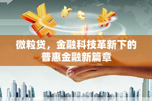 衡东微粒贷，金融科技革新下的普惠金融新篇章