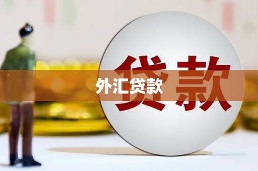衡东外汇贷款
