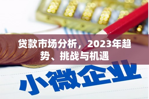 衡东贷款市场分析，2023年趋势、挑战与机遇