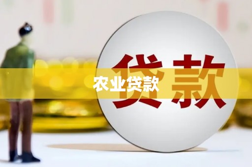衡东农业贷款