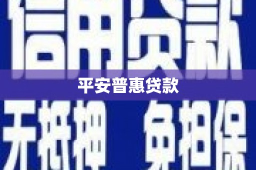 衡东平安普惠贷款
