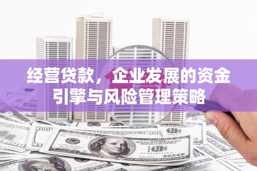 衡东经营贷款，企业发展的资金引擎与风险管理策略