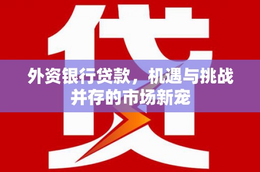 衡东外资银行贷款，机遇与挑战并存的市场新宠