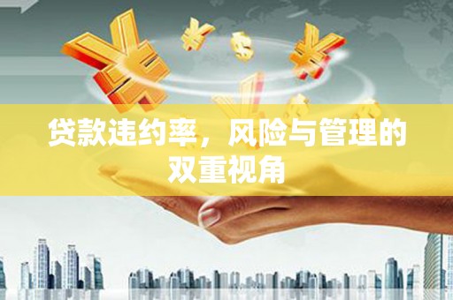 衡东贷款违约率，风险与管理的双重视角
