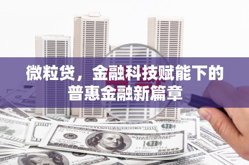 衡东微粒贷，金融科技赋能下的普惠金融新篇章