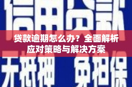 衡东贷款逾期怎么办？全面解析应对策略与解决方案