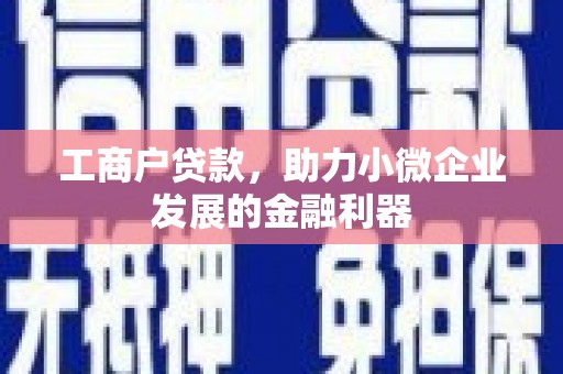 衡东工商户贷款，助力小微企业发展的金融利器