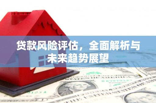 衡东贷款风险评估，全面解析与未来趋势展望