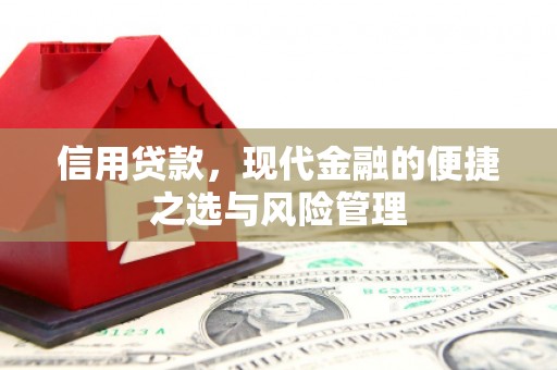 衡东信用贷款，现代金融的便捷之选与风险管理