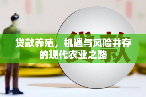 衡东贷款养殖，机遇与风险并存的现代农业之路