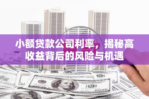 衡东小额贷款公司利率，揭秘高收益背后的风险与机遇