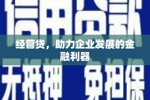 衡东经营贷，助力企业发展的金融利器