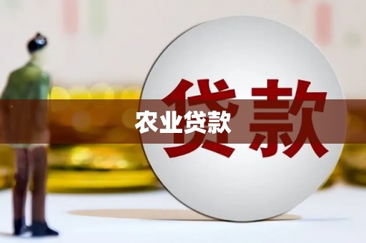 衡东农业贷款