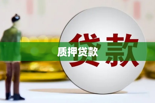 衡东质押贷款