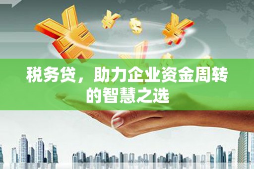 衡东税务贷，助力企业资金周转的智慧之选