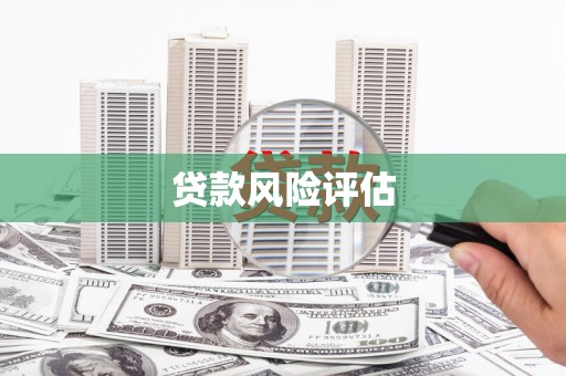 衡东贷款风险评估