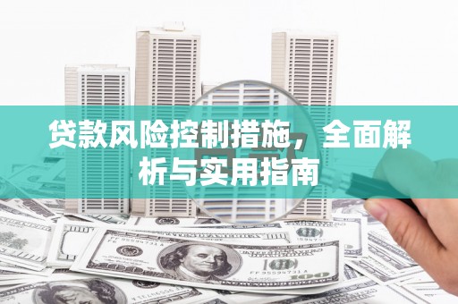 衡东贷款风险控制措施，全面解析与实用指南