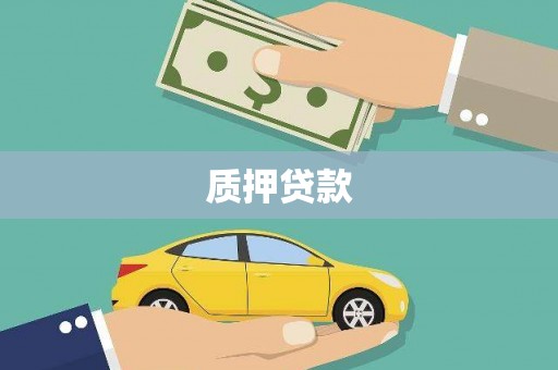 衡东质押贷款
