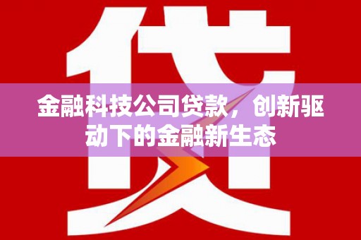衡东金融科技公司贷款，创新驱动下的金融新生态