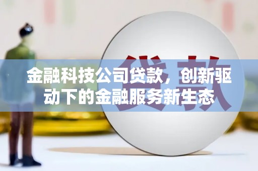 衡东金融科技公司贷款，创新驱动下的金融服务新生态