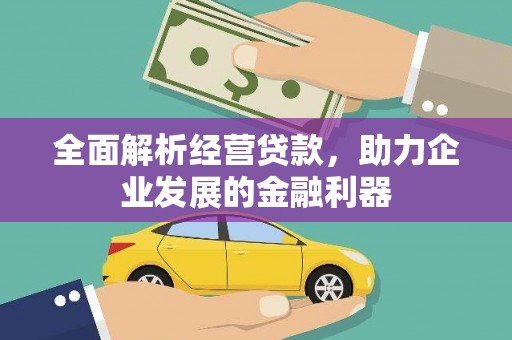 衡东全面解析经营贷款，助力企业发展的金融利器
