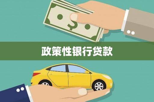 衡东政策性银行贷款