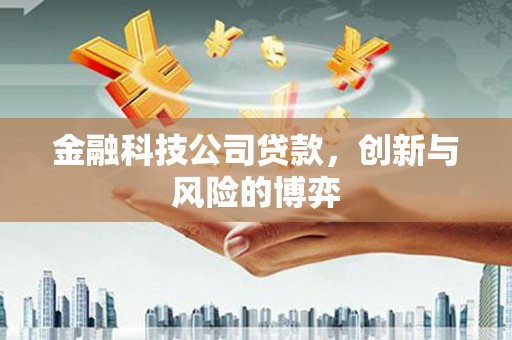 衡东金融科技公司贷款，创新与风险的博弈