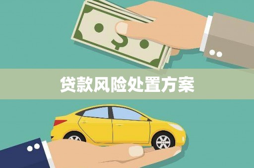 衡东贷款风险处置方案