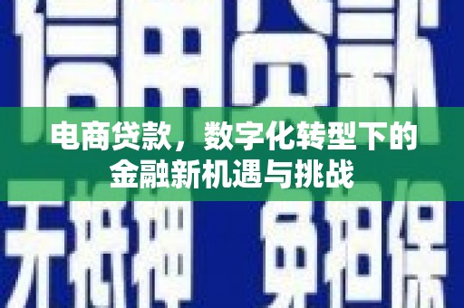 衡东电商贷款，数字化转型下的金融新机遇与挑战