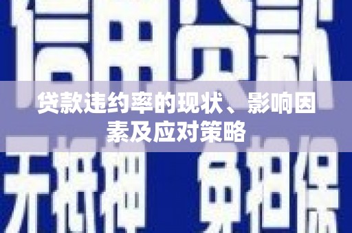 衡东贷款违约率的现状、影响因素及应对策略