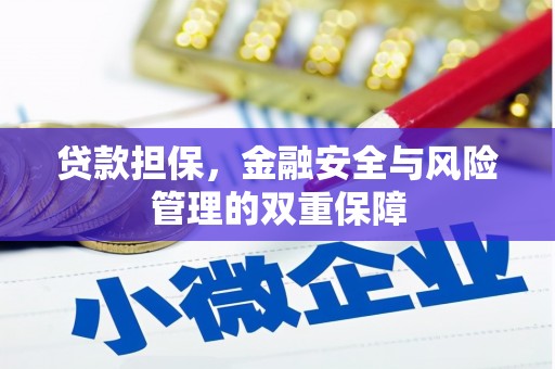 衡东贷款担保，金融安全与风险管理的双重保障