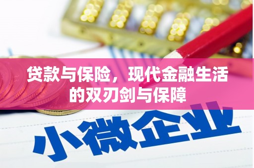 衡东贷款与保险，现代金融生活的双刃剑与保障