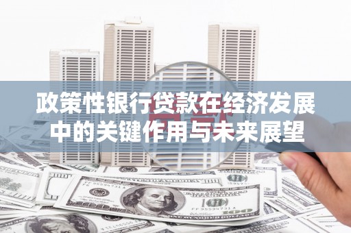 衡东政策性银行贷款在经济发展中的关键作用与未来展望