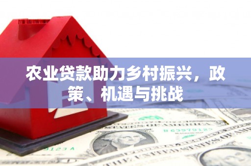 衡东农业贷款助力乡村振兴，政策、机遇与挑战