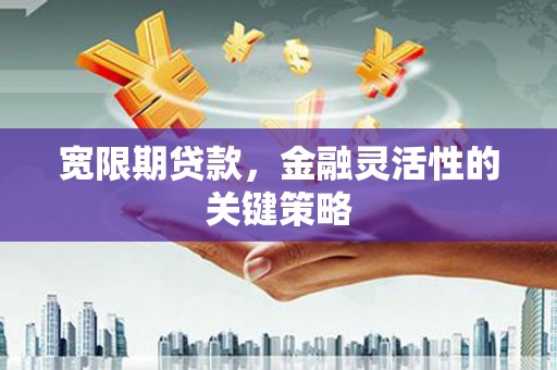 衡东宽限期贷款，金融灵活性的关键策略