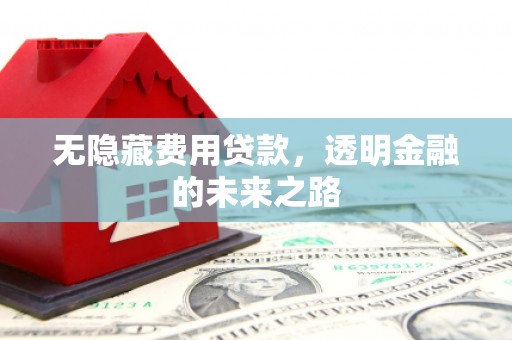 衡东无隐藏费用贷款，透明金融的未来之路