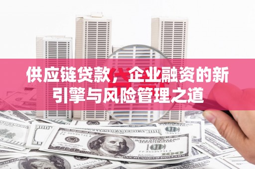 衡东供应链贷款，企业融资的新引擎与风险管理之道