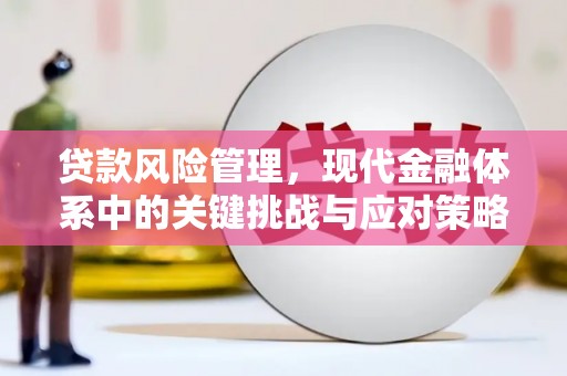 衡东贷款风险管理，现代金融体系中的关键挑战与应对策略