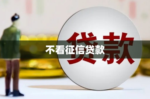 衡东不看征信贷款