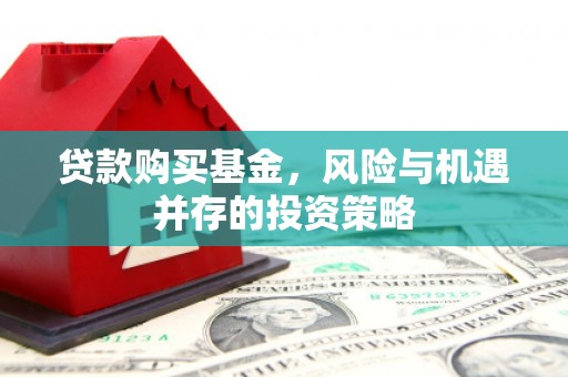 衡东贷款购买基金，风险与机遇并存的投资策略