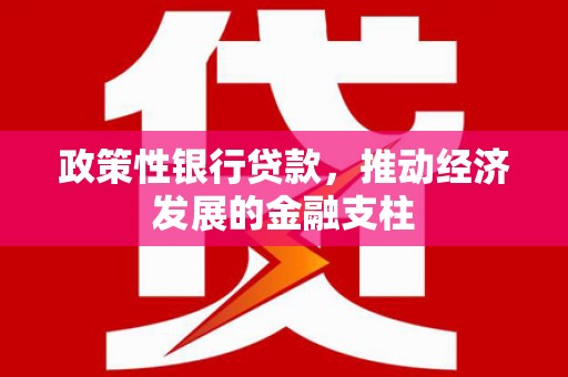 衡东政策性银行贷款，推动经济发展的金融支柱
