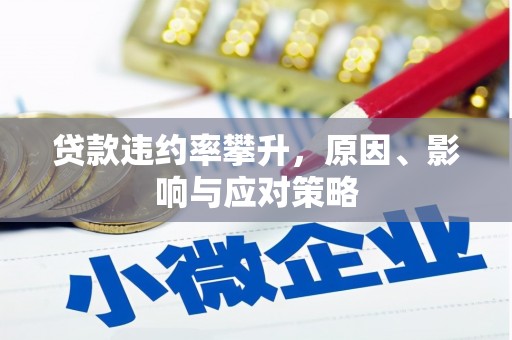 衡东贷款违约率攀升，原因、影响与应对策略