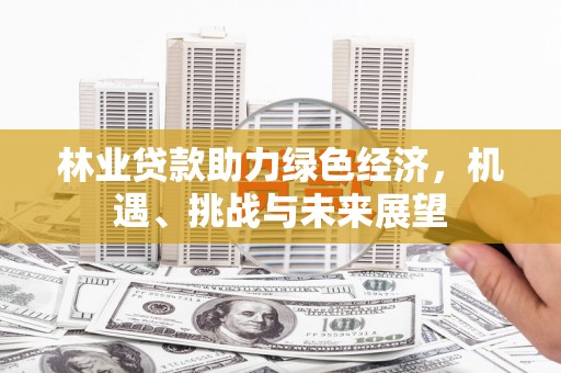 衡东林业贷款助力绿色经济，机遇、挑战与未来展望