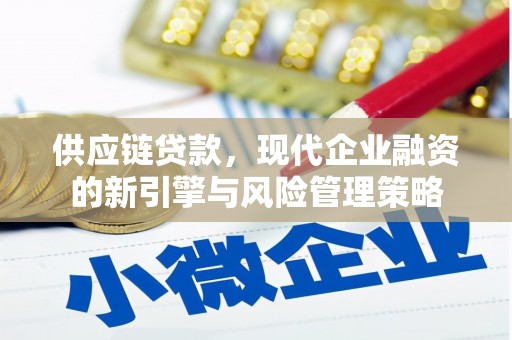 衡东供应链贷款，现代企业融资的新引擎与风险管理策略