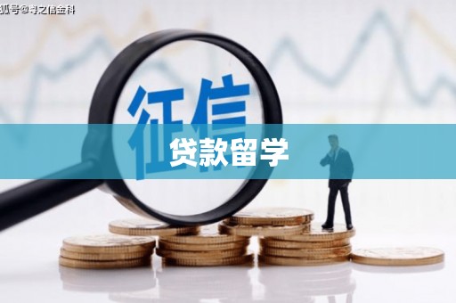 衡东贷款留学
