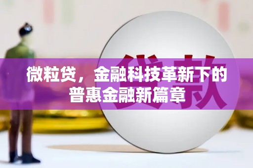 衡东微粒贷，金融科技革新下的普惠金融新篇章