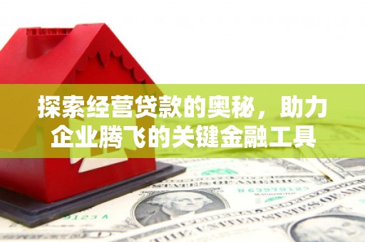 衡东探索经营贷款的奥秘，助力企业腾飞的关键金融工具