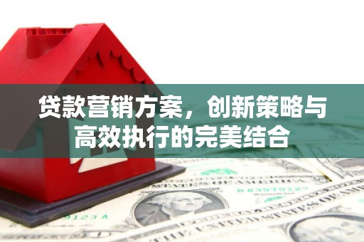 衡东贷款营销方案，创新策略与高效执行的完美结合