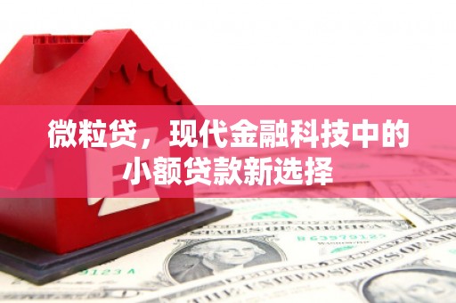 衡东微粒贷，现代金融科技中的小额贷款新选择